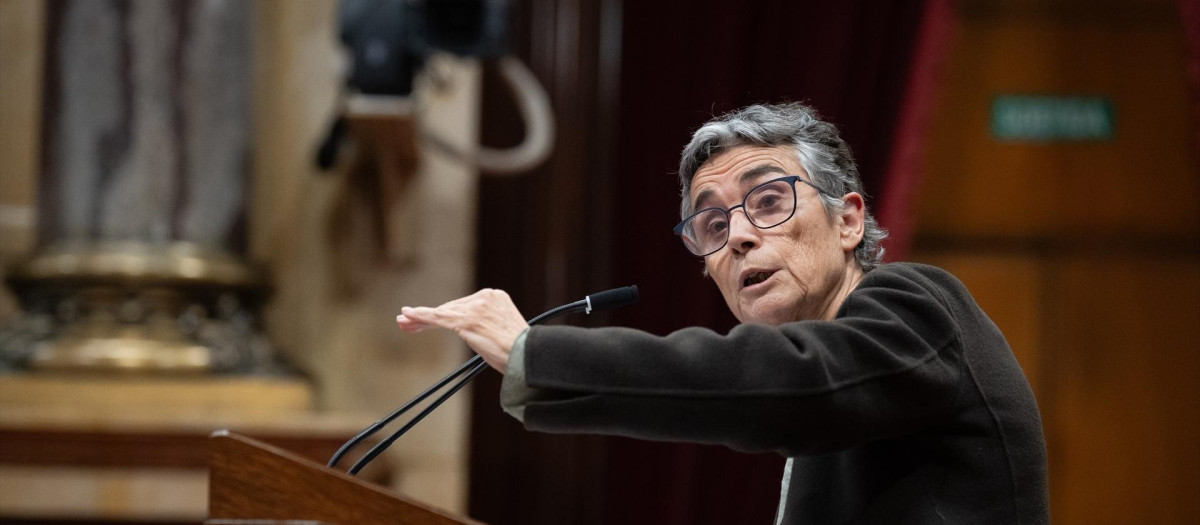 La consellera de Salud, Olga Pané, en una imagen de archivo