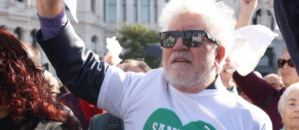 El director Pedro Almodovar durante una manifestacion en defensa de la sanidad publica