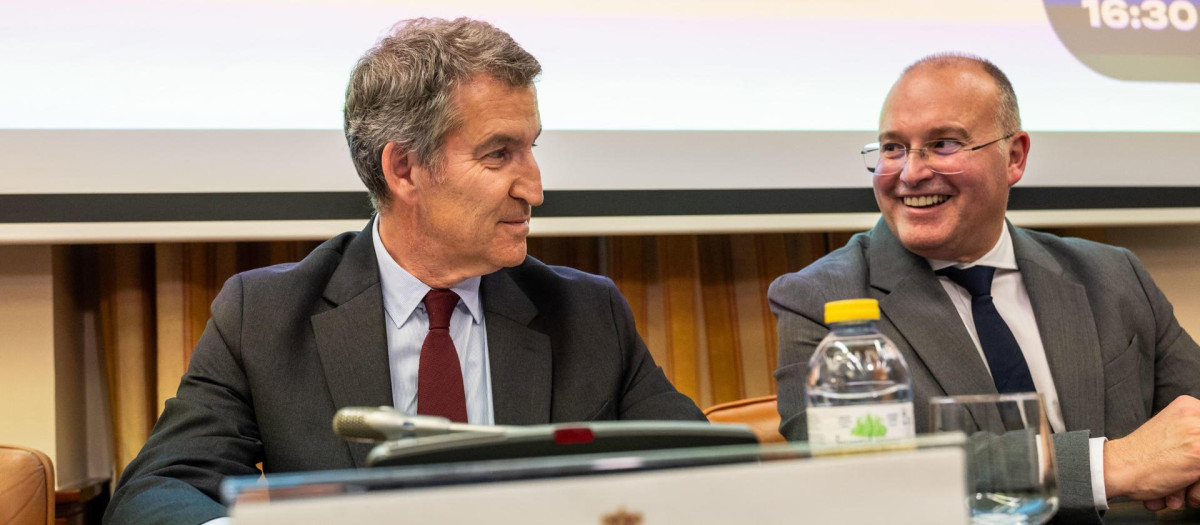 El presidente del Partido Popular, Alberto Núñez Feijóo (i), junto al portavoz de la formación en la Cámara Baja, Miguel Tellado