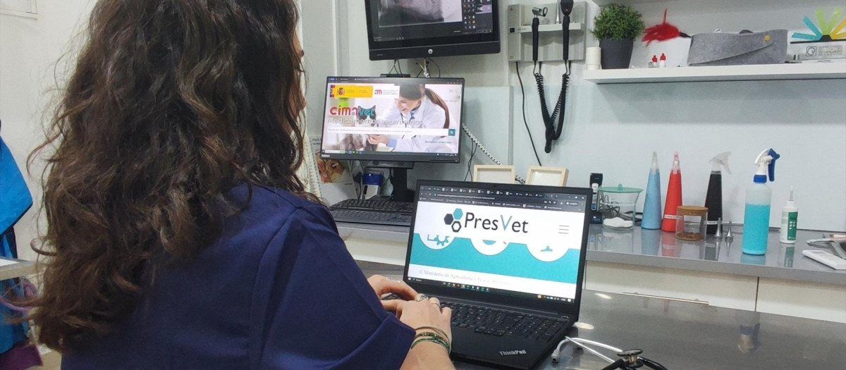 Una veterinaria clínica accediendo a la plataforma Presvet para comunicar telemáticamente prescripciones de antibióticos