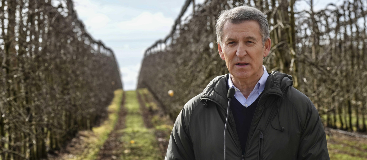 El presidente del PP, Alberto Nuñez Feijoo, en una visita reciente al campo