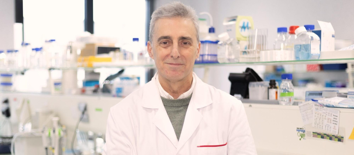 El investigador de la CEU de Valencia, José R.Penadés, que lidera uno de los grupos de validación de la IA 'co-científica' de Google