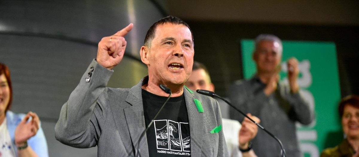 El coordinador general de la coalición, Arnaldo Otegi