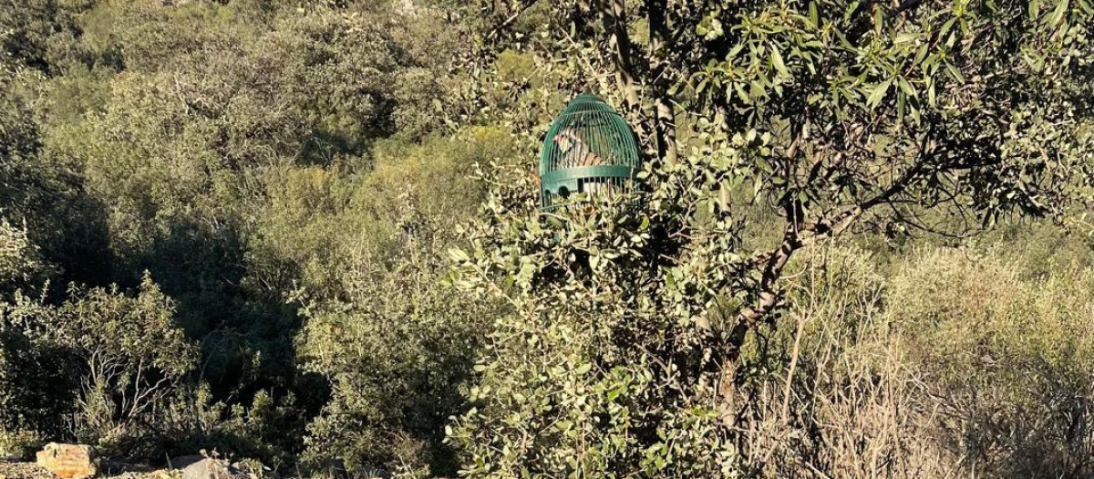 Visión del puesto de tarde