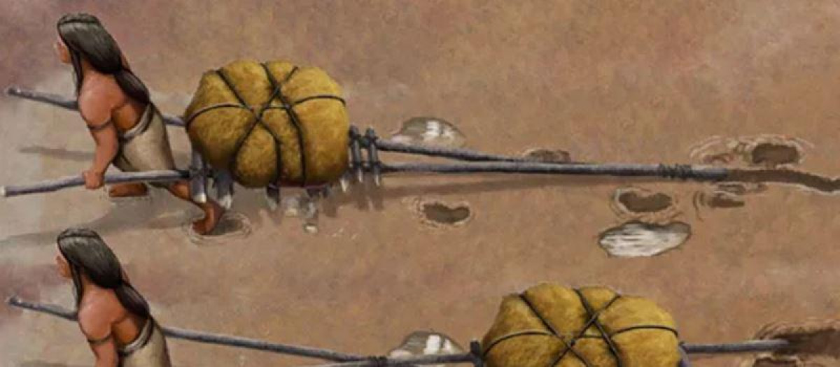 Los investigadores han encontrado evidencia de que los primeros norteamericanos construyeron "vehículos" improvisados con postes de madera