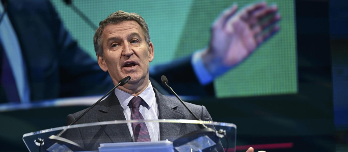 El presidente del PP, Alberto Núñez Feijóo