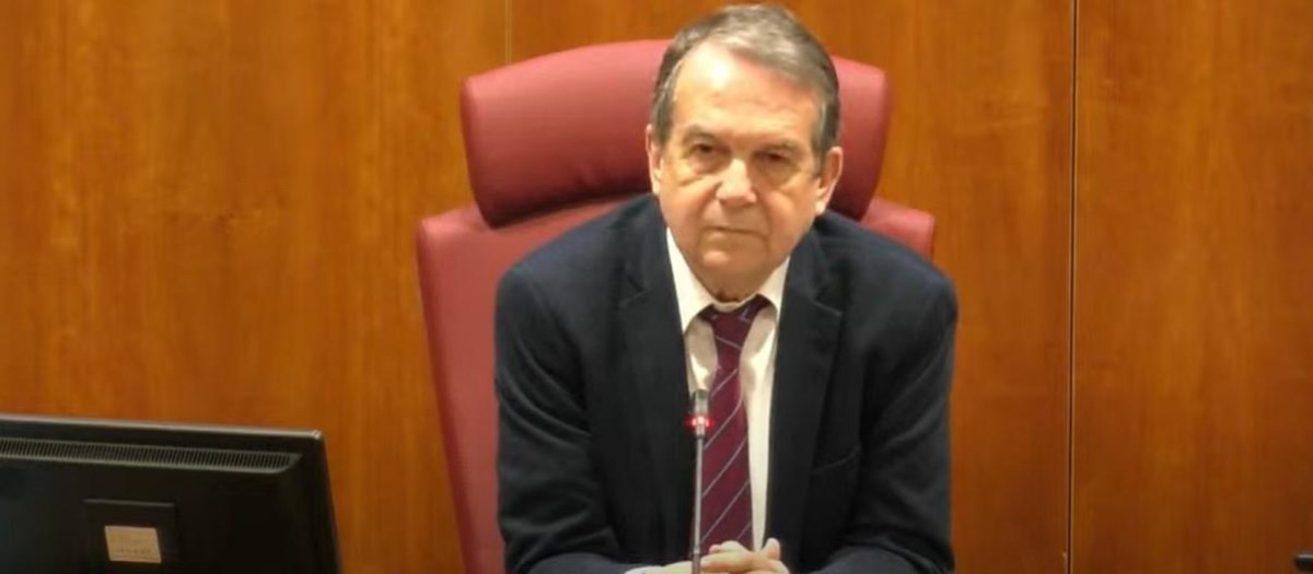 El alcalde, Abel Caballero, durante un pleno