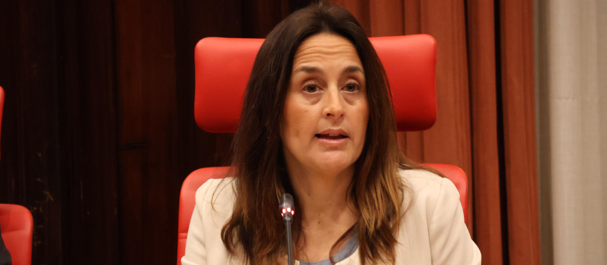 La consejera de Educación, Esther Niubó, durante su comparecencia en el Parlament