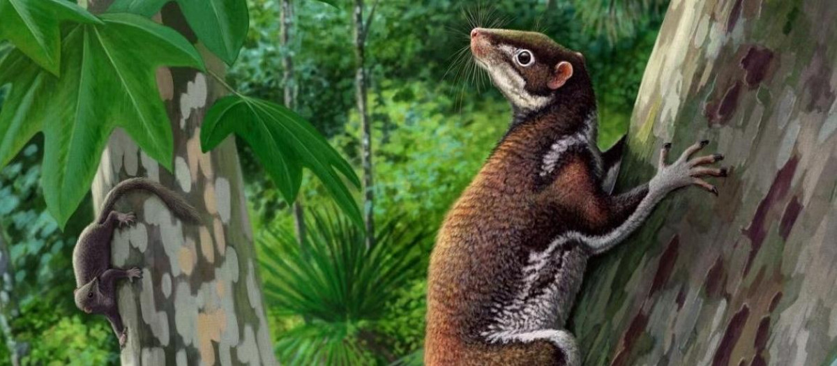 Mixodectes pungens (en primer plano), pequeños mamíferos que habitaron el oeste de América del Norte hace 62 millones de años, pesaban alrededor de 1,3 kilos, vivían en árboles y se alimentaban principalmente de hojas