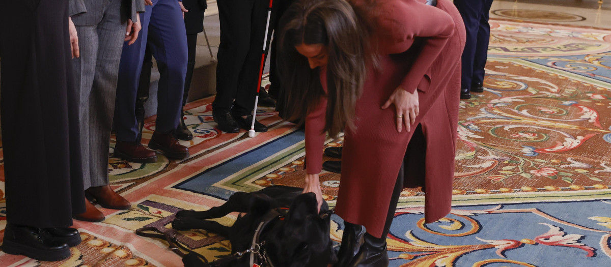 Spanish Queen Letizia during a meeting with Federación de Asociaciones de Personas Sordociegas de España (FASOCIDE)  in Madrid on Tuesday, 18 March 2025.