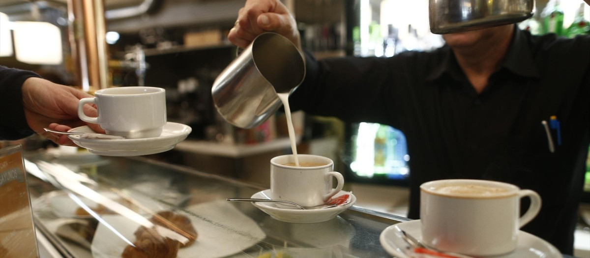 Un camarero sirve desayunos en un bar de País Vasco.