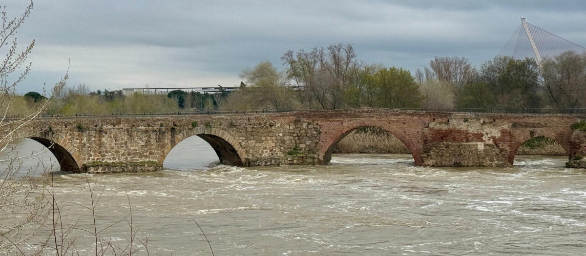 El río Tajo a su paso por Talavera.
REMITIDA / HANDOUT por AYUNTAMIENTO DE TALAVERA
Fotografía remitida a medios de comunicación exclusivamente para ilustrar la noticia a la que hace referencia la imagen, y citando la procedencia de la imagen en la firma
18/3/2025