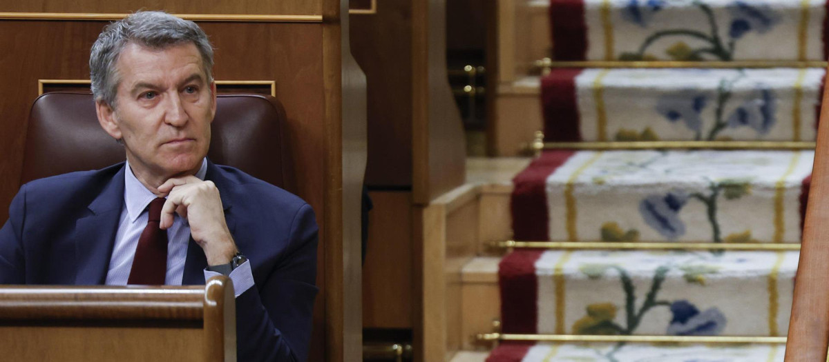 El líder del PP, Alberto Núñez Feijóo, este miércoles durante el pleno del Congreso