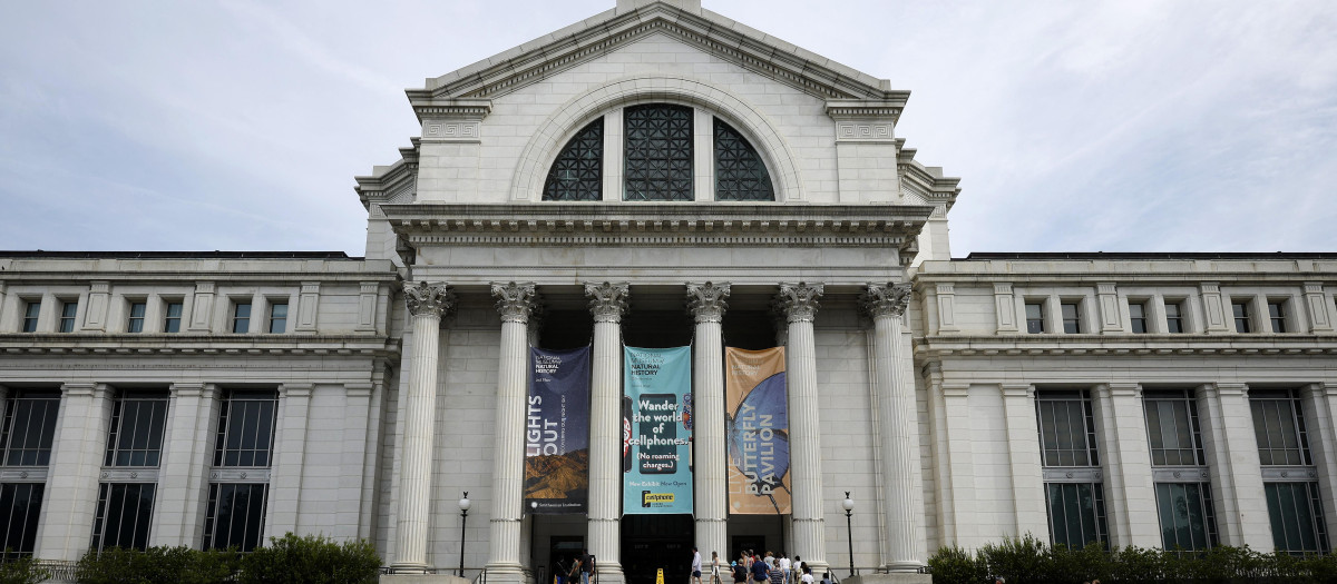 El Museo Nacional de Historia Natural, del Instituto Smithsonian, es uno de los más afectados por el adoctrinamiento racial en la etapa de Biden