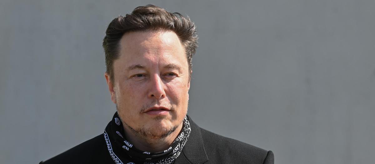 La Casa Blanca niega una salida inminente de Musk