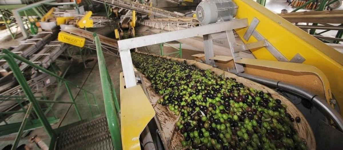 Almazara de aceite de oliva en Andalucía