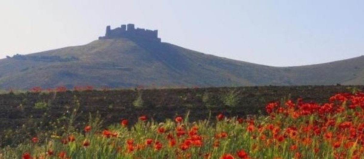 (Foto de ARCHIVO)
Castillo Almonacid de Toledo
09/8/2017