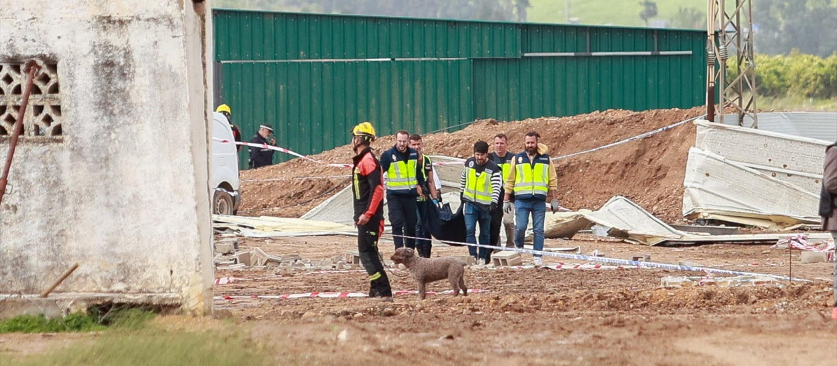 Traslado de uno de los fallecidos en el derrumbe de una nave agrícola en la cual tres trabajadores han perdido la vida
ROCÍO RUZ / EUROPA PRESS
04/4/2025