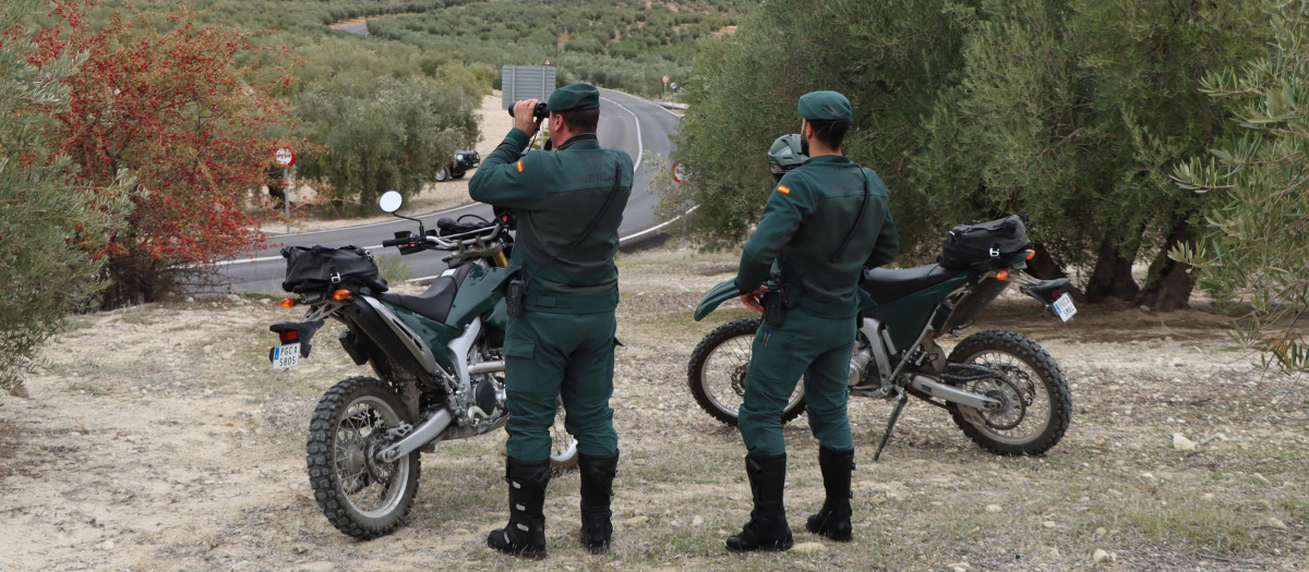 Agentes del Servicio de Protección de la Naturaleza de la Guardia Civil en el campo