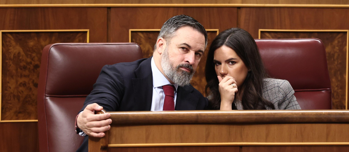 El líder de Vox, Santiago Abascal, y la portavoz de Vox en el Congreso, Pepa Millán