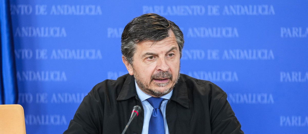 El portavoz parlamentario del PP-A, Toni Martín, este miércoles en rueda de prensa