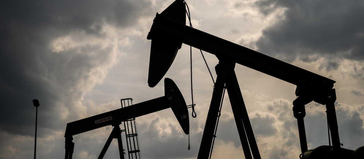 Petróleo