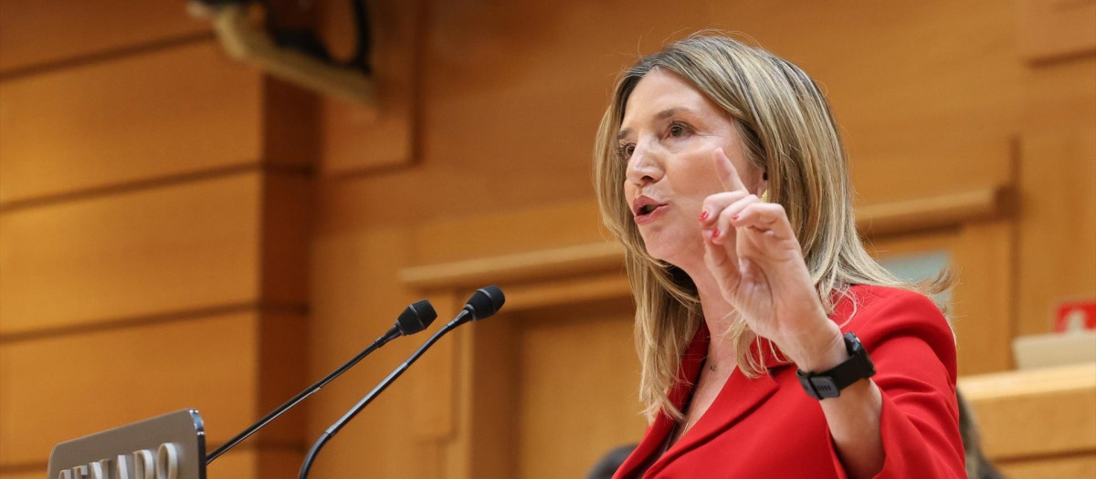La portavoz del PP en el Senado, Alicia García, durante un pleno