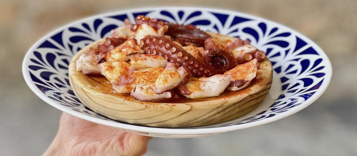 Taberna Sargadelos