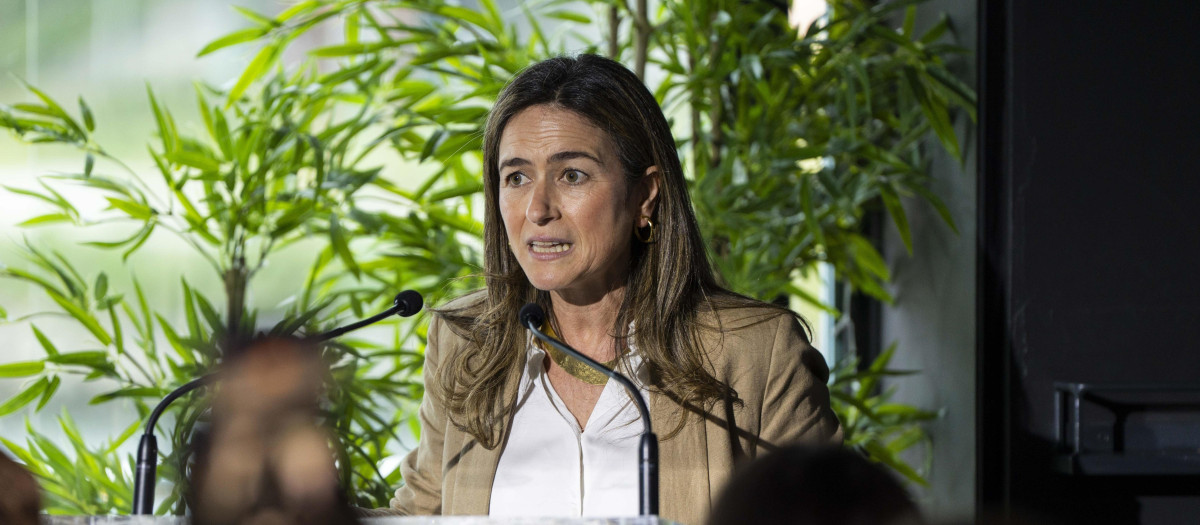 La senadora gallega Pepa Pardo