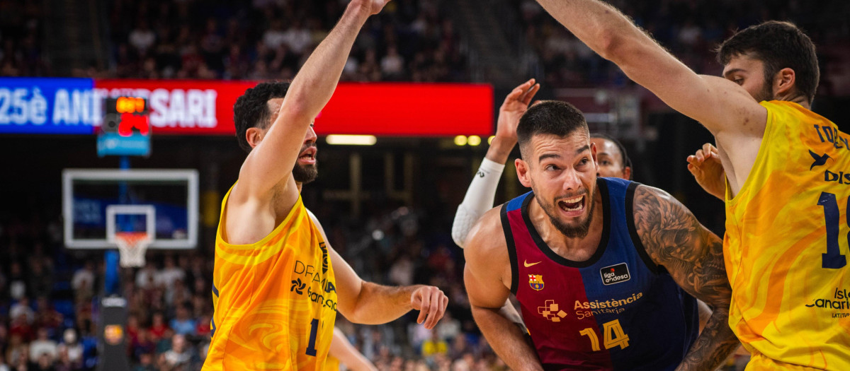 Willy Hernangómez intenta acercarse al aro en el partido ante Gran Canaria