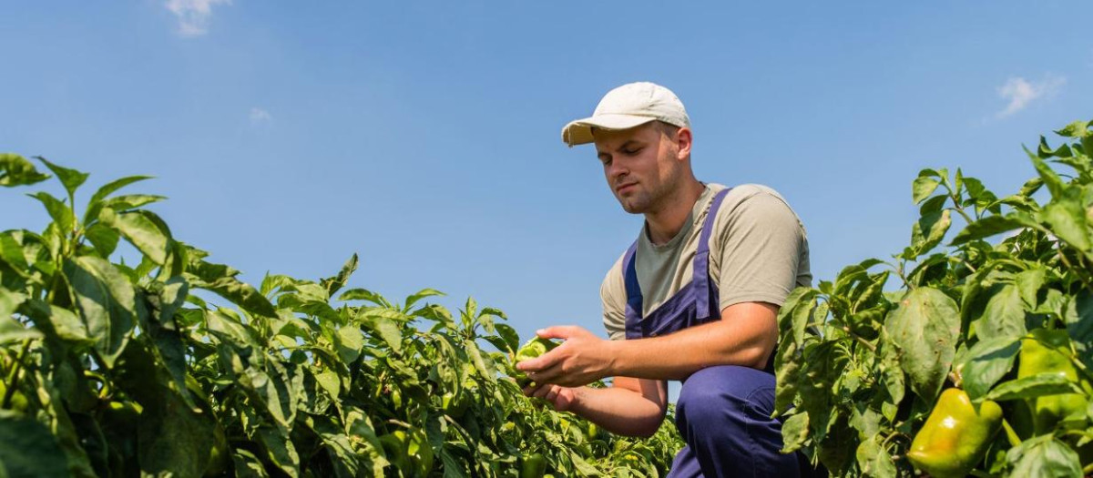 Un joven agricultor, en una imagen de archivo