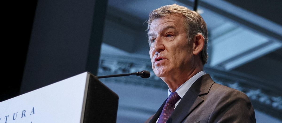 El presidente del Partido Popular, Alberto Núñez Feijóo