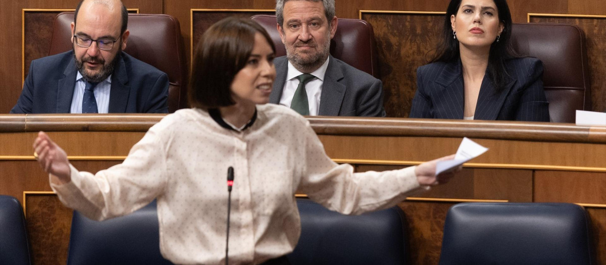 La ministra de Ciencia, Innovación y Universidades, Diana Morant, en el Congreso de los Diputados