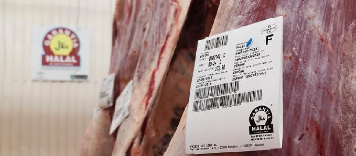 Imagen de recurso en un matadero con garantía Halal