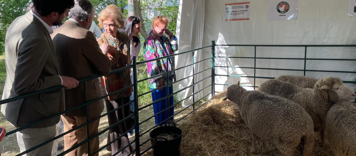 La Reina Sofía visita SI Campo