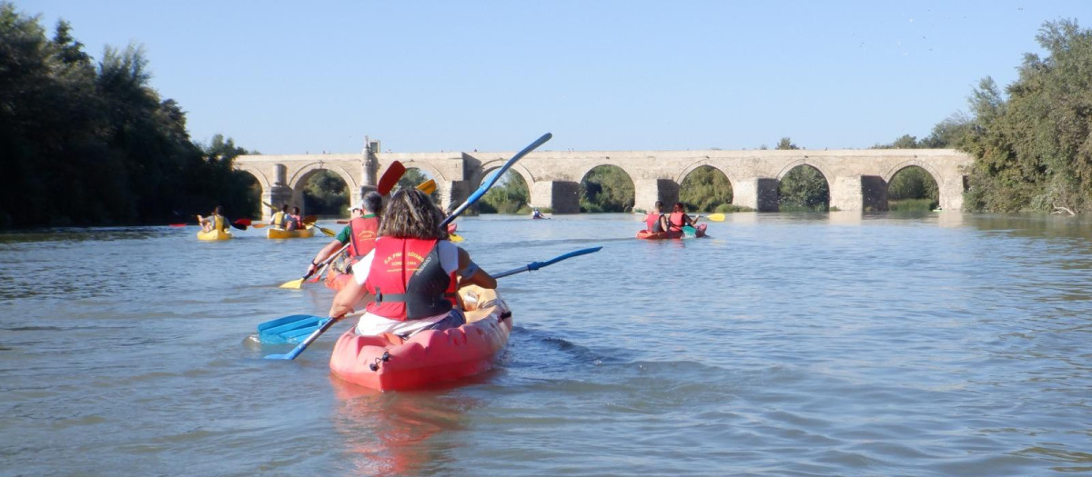 Una de las actividades organizadas por el Club de Piraguismo de Córdoba