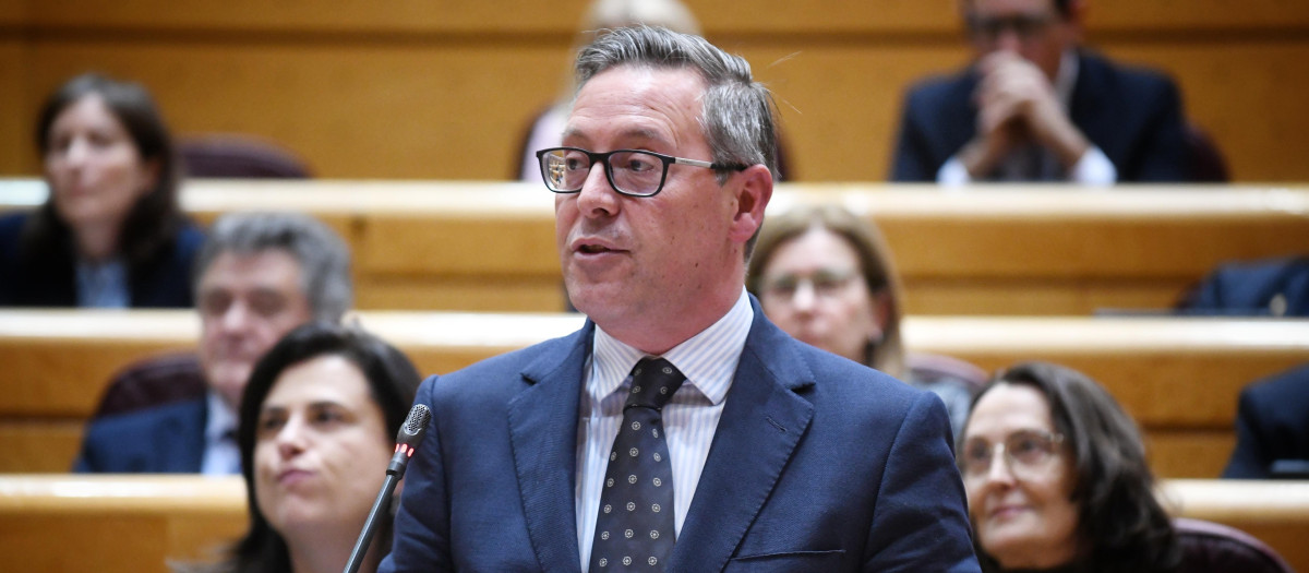 El secretario general del PP de Madrid, Alfonso Serrano