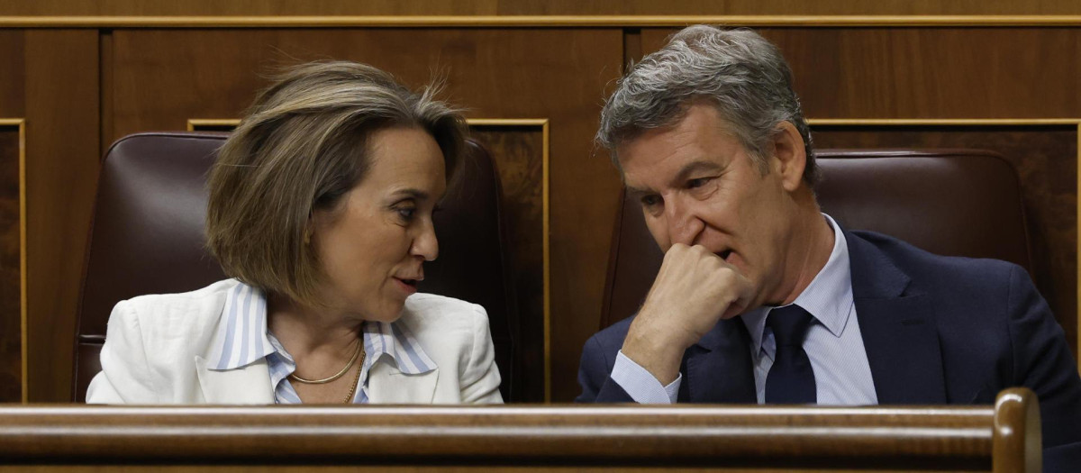 El líder del Partido Popular (PP), Alberto Núñez-Feijóo (d), conversa con la secretaria general del partido, Cuca Gamarra