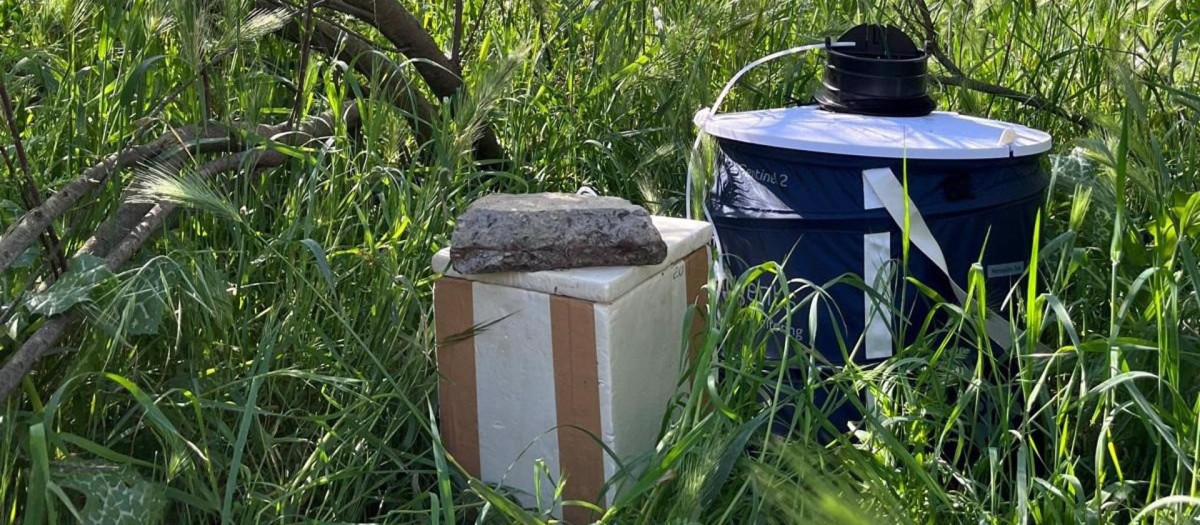 Imagen de una trampa instalada contra el mosquito del virus del Nilo