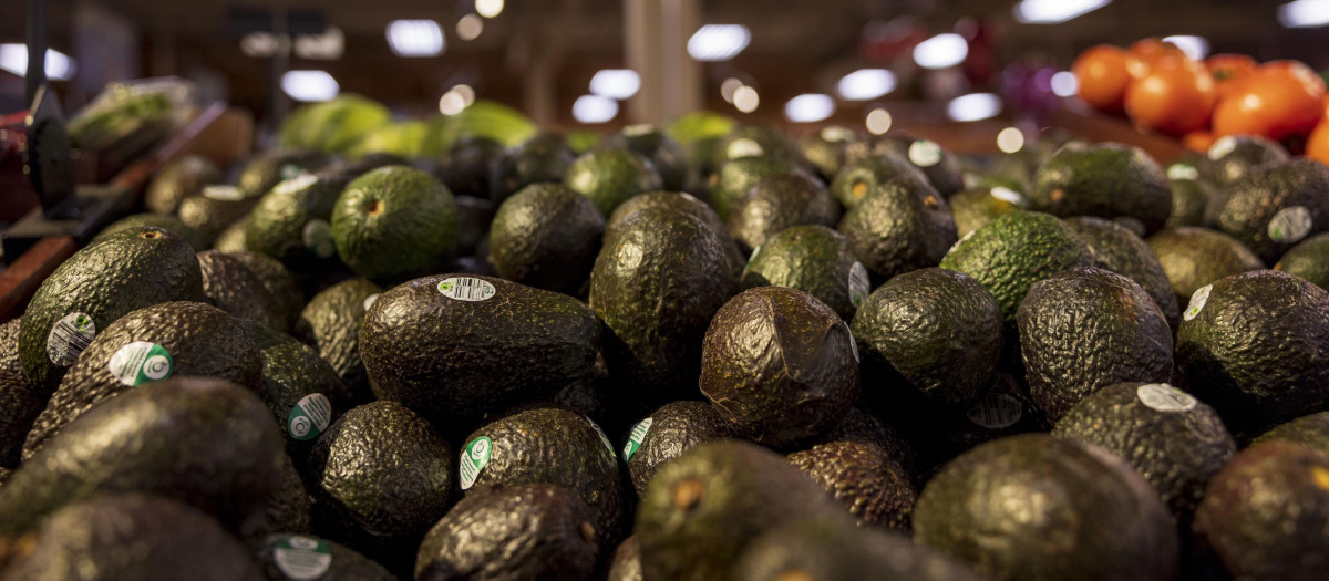 Aguacates producidos fuera de la Unión Europea