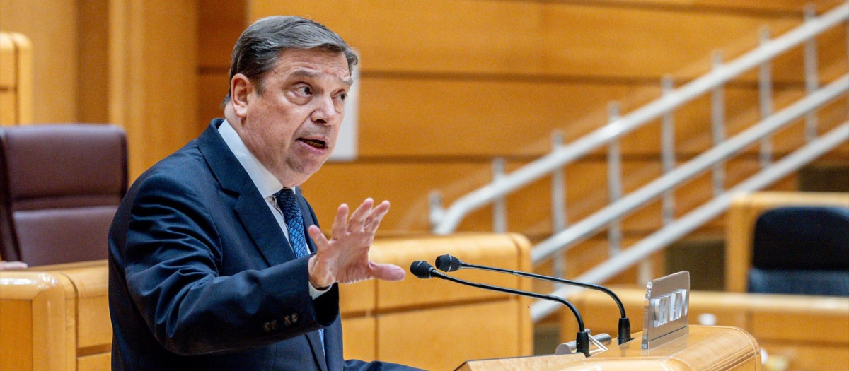 El ministro de Agricultura, Pesca y Alimentación, Luis Planas, interviene durante una sesión de control al Gobierno en el Senado, a 6 de mayo de 2025, en Madrid (España). Tras el apagón de luz que afectó a la Península Ibérica el pasado 28 de mayo, el Gobierno responderá hoy fundamentalmente a preguntas relacionadas con el parón eléctrico lanzadas por los grupos de la oposición.
Ricardo Rubio / Europa Press
06 MAYO 2025;SENADO;PLENO;SENADORES;SESIÓN DE CONTROL;GOBIERNO;PLENO;MINISTROS;
06/5/2025