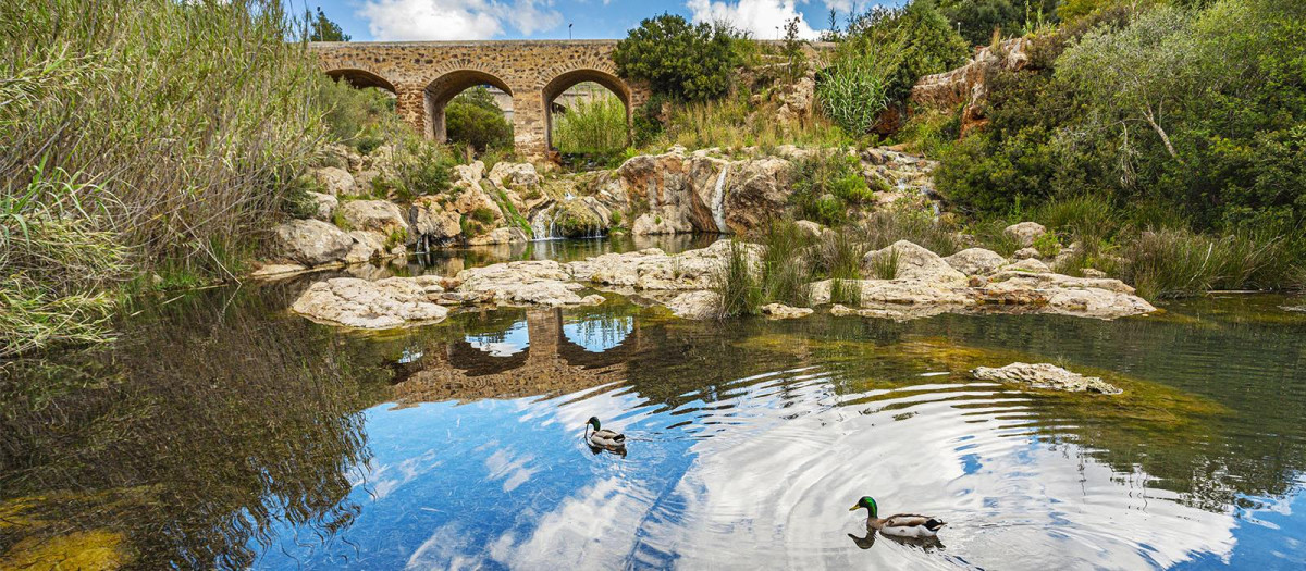 Puente sobre el único río de las islas Baleares.