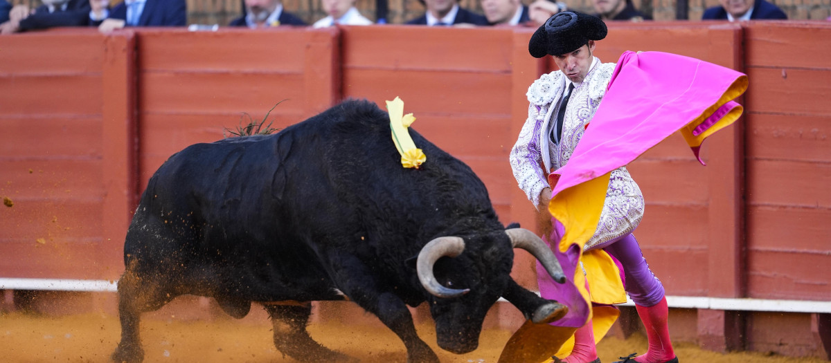 (Foto de ARCHIVO)
El torero, Cayetano, a 10 de mayo de 2025 en Sevilla (Andalucía, España). Cayetano, Roca Rey y David de Miranda lidian toros del Parralejo en la décimoquinta de abono en la Real Maestranza de Sevilla.
Joaquin Corchero / Europa Press
10/5/2025