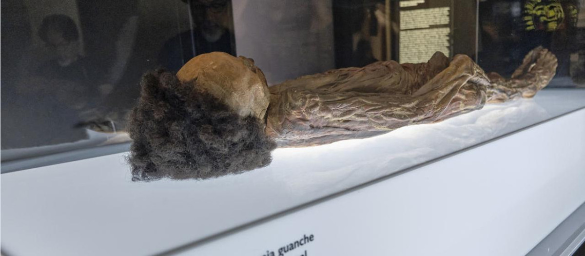 Réplica de la momia de Erques que se exhibe en el MUNA
