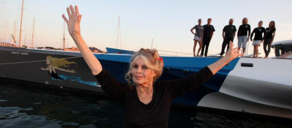 Brigitte Bardot, en una imagen de 2014