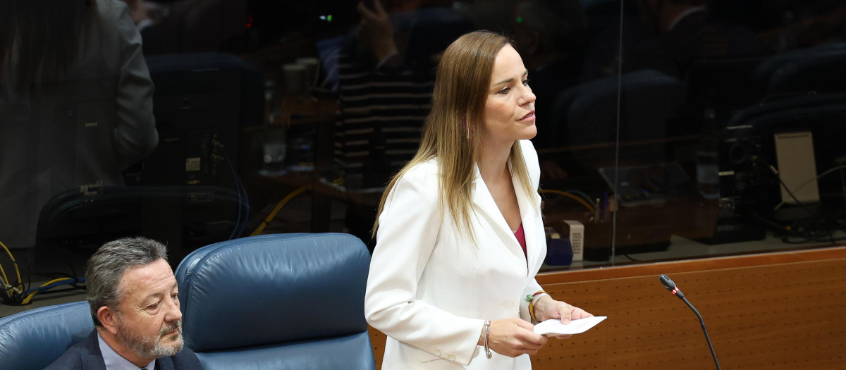La portavoz de Vox en la Asamblea de Madrid, Isabel Pérez Moñino