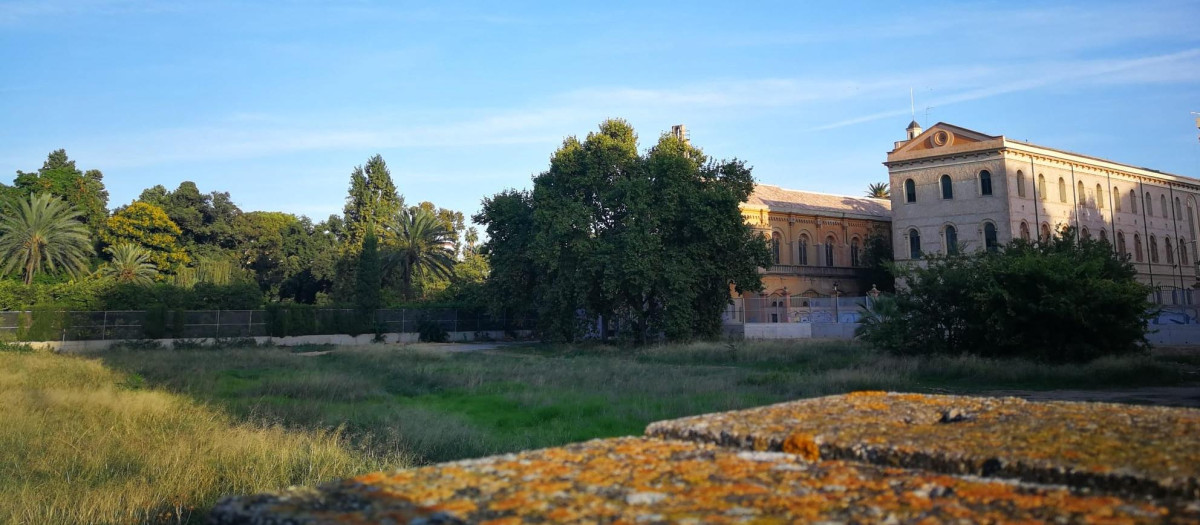 Solar del futuro jardín Trini Simó de Valencia.