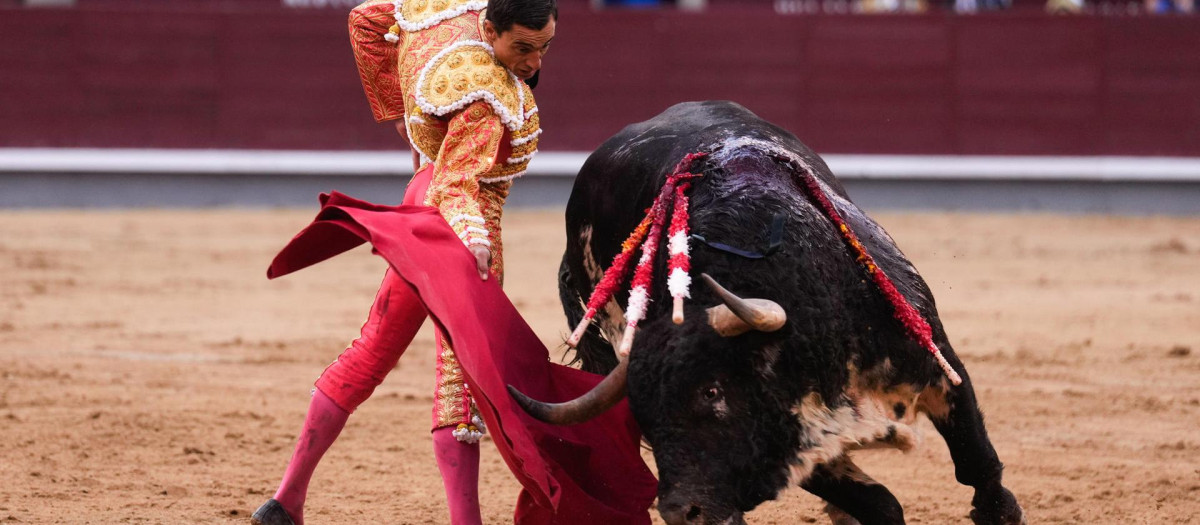Paco Ureña, este día de San Isidro en Las Ventas