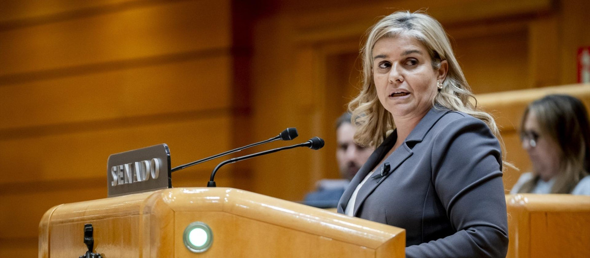La senadora del PP, Eva Ortiz, en un pleno del Senado