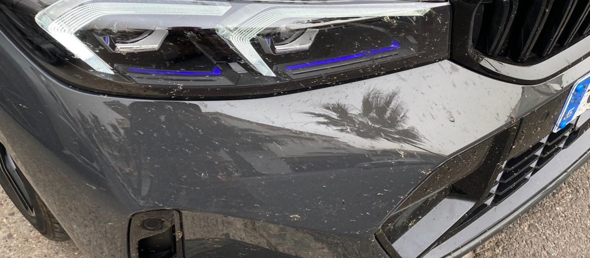 Así ha quedado este BMW tras un viaje en primavera
